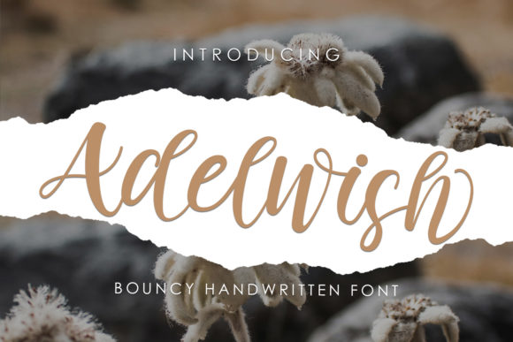 Adelwish Font for Creative Brands