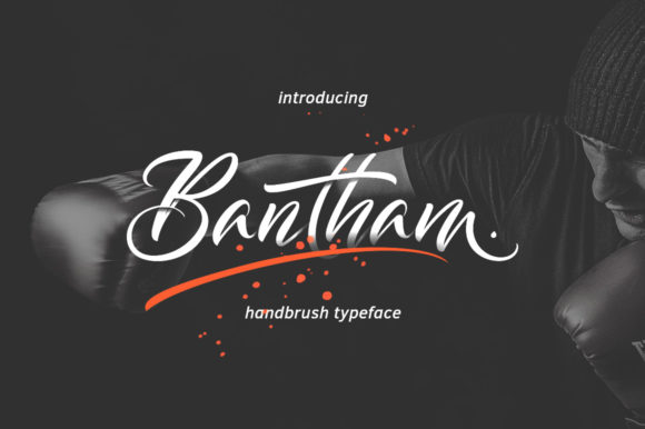 Bantham Font for Web Design
