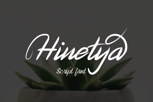 Hinetya Font: Free Download & Design Tips