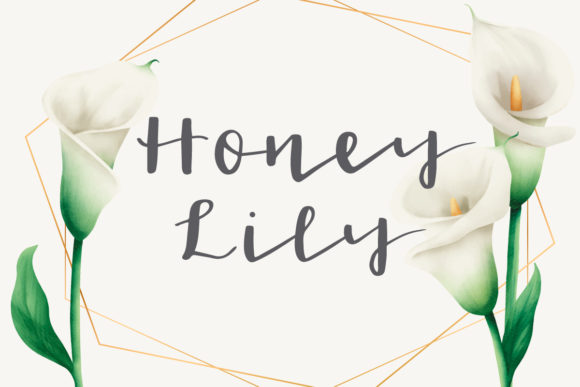 Honey Lily Font for Business Branding