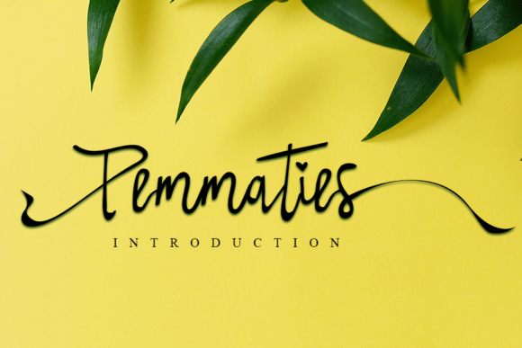 Pemmaties Font for Creative Projects