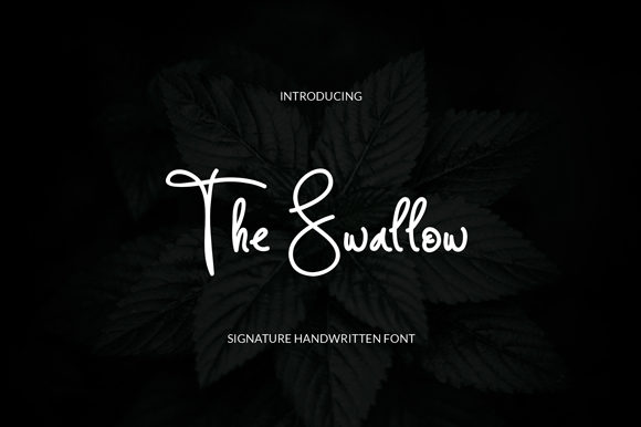 The Swallow Font for Business Branding